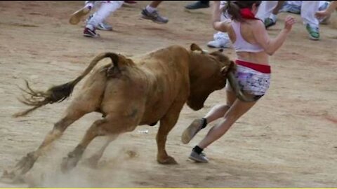 Best Funny Videos 2021 Most Awesome Bullfighting Festival Funny Crazy Bull Fails