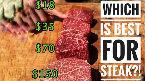 Filet Mignon Comparison 🥩 Which one are you picking??