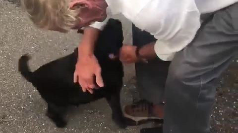 Man reunited with dog after more than a month