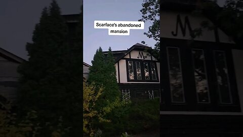 The abandoned scarface mansion