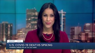 Denver7 News 5 PM | Thursday, November 26