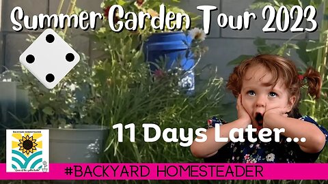 Summer Garden Tour 2023 4 | after being gone for 11 days