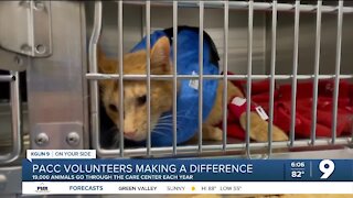 PACC volunteers making a difference