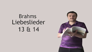 Brahms Liebeslieder - Vögelein durchrauscht die Luft & Sieh, wie ist die Welle klar