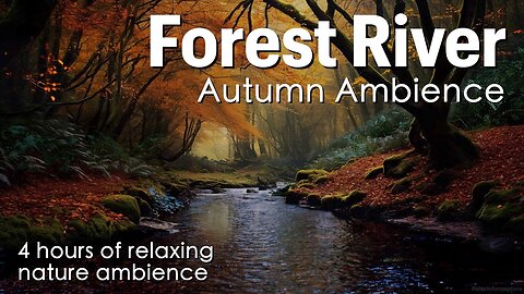 Forest River | Autumn Ambience | River Sounds With Crickets | Sounds For Relaxing | For 4 Hours