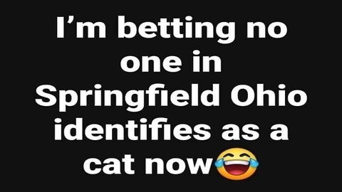 I'm taking bets no one in Springfield, Ohio identifies as a cat now!