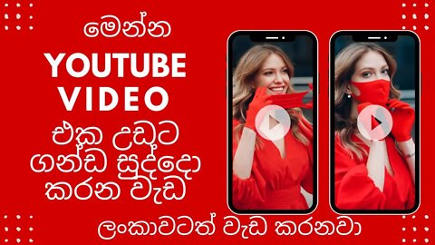 How To Rank YouTube Videos Sinhala