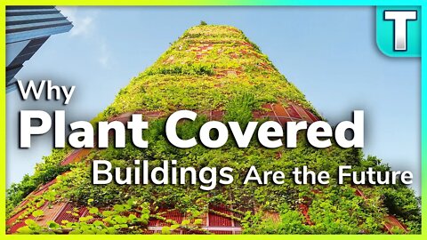 Why Plant Covered Buildings Are The Future