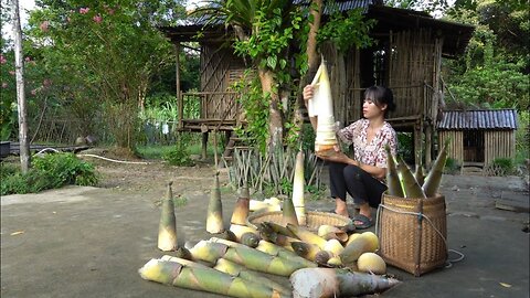 Harvest giant bamboo shoots Preservation process - Cooking