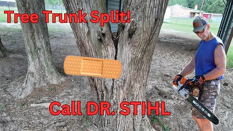 Tree trunk split. Call in Doctor STIHL