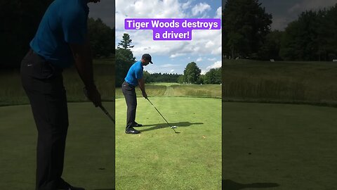 Tiger Woods destroys a driver! #tigerwoods #golf #tomgillisgolf