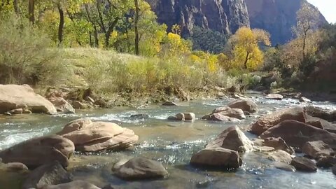 Zion National Park | Virgin River