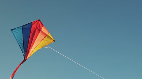 We flew the kite amazingly high on the uttrayana