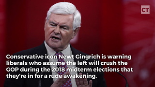 Newt Gingrich Has a Warning for Liberals