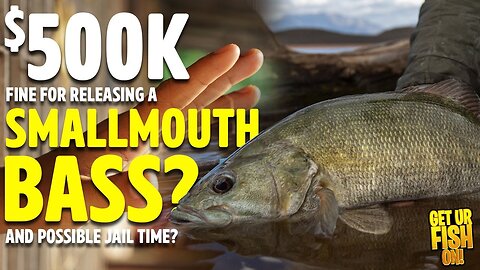 Release a Small Mouth Bass and YOU Could Be Fined $500K