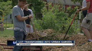 Volunteers transform lot into urban garden