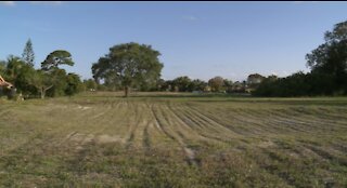 Old Boca Raton golf course being transformed