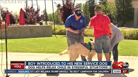 Boy gets autism service dog to help with anxiety