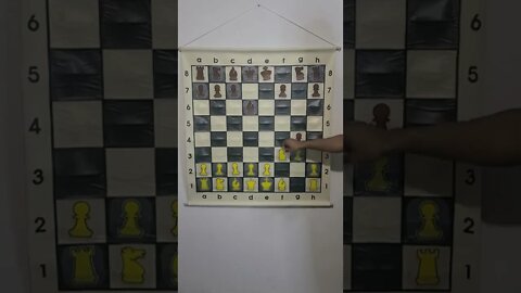 What is the From's Gambit in Chess?