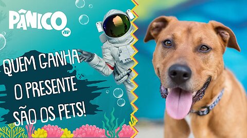 Cobasi promove ação ESPECIAL DE ANIVERSÁRIO para ANIMAIS ABANDONADOS