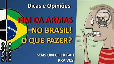 O FIM das armas no Brasil - o que EU fiz (e não, nem eu e ninguém sabe se vai dar certo)