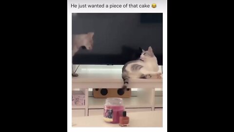 He just wanted a piece of that cake 😂