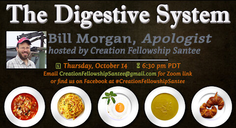 The Digestive System with Bill Morgan