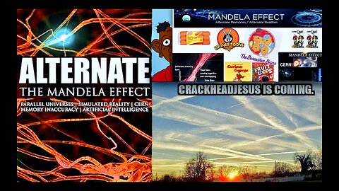 Mandela Effect Parallel Universe Disney ChemTrail Obama Chuck Schumer Birth N Word Alternate Reality