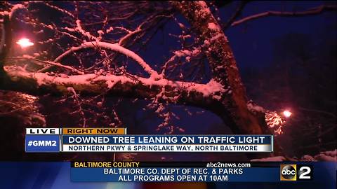 Downed tree leaning on power line on Northern Parkway