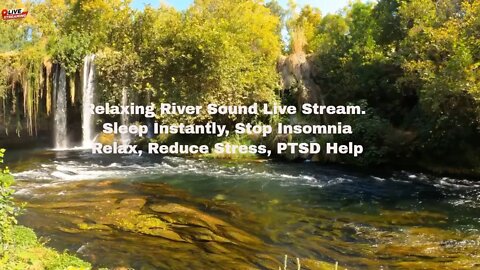 Relaxing River Sound Live Stream. Sleep Instantly, Stop Insomnia, Relax, Reduce Stress, PTSD Help