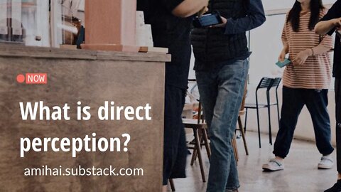 What is direct perception? | amihai.substack.com | Art of Now