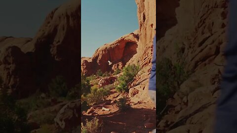 Seagull Arch, Arches National Park