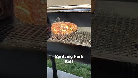 Spritizing Pork Butt #bbq #offset #shorts #smoking