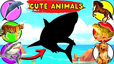 CUTE ANIMALS BABY SHARK