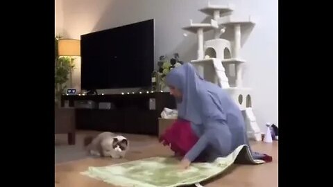 Prayer Time With Cat / مواقيت الصلاة مع القط