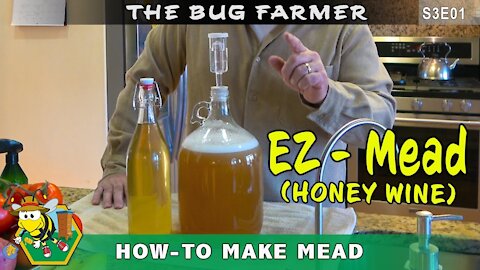 EZ Mead - How to easily make honey wine at home.