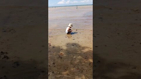 Kid playing on the beach❤️#shorts #short #shortvideo #childrensday #beach