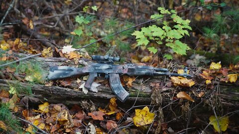 Sponge Flecktarn camo on palmetto state armory GF3 AKM