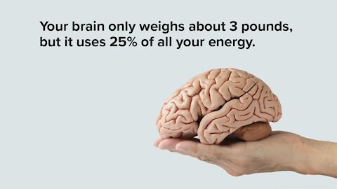 🧐 How well do you know your brain?