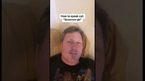 Tiktoker Alec Newman said he understood cat language and shared "phrases" to talk to pets.