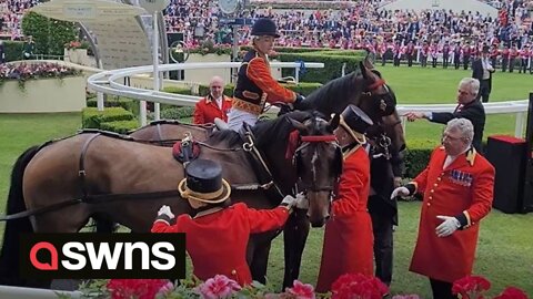 Horse pulling Princess Beatrice's carriage into Royal Ascot gets spooked and threatens to bolt