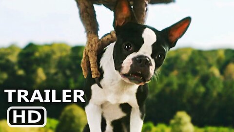 STRAYS Trailer 2 (2023) Will Ferrell, Jamie Foxx