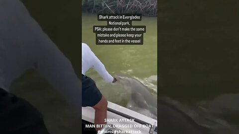 SHARK ATTACK MAN BITTEN, DRAGGED OFF BOAT #shorts #shark