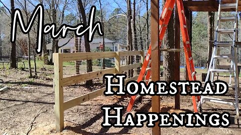 March Homestead Happenings!