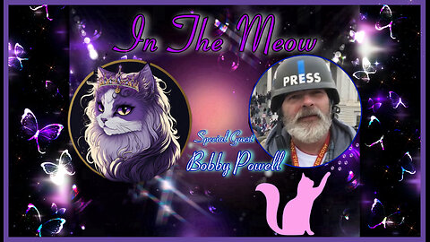 In The Meow | With Special Guest Bobby Powell