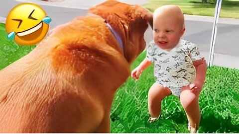 Animals Funny Videos 🤣Try Not To Laugh Challenge --funny videos 🤣🤣|| Funny Baby and Pet