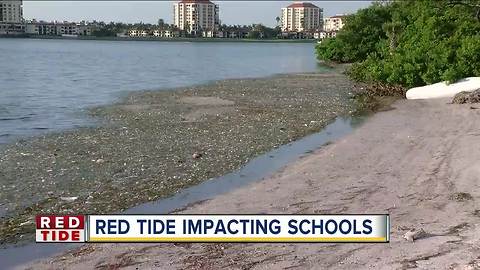 Some Pinellas County residents say red tide is making them sick