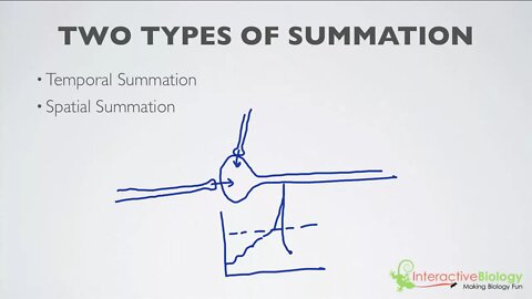 019 What is Summation (2 Types)