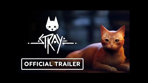 Stray - Official Release Date Trailer | PlayStation State of Play 2022