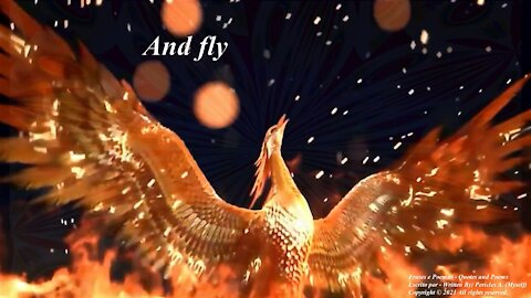 When you think that hit the rock bottom, fly like a Phoenix! (Motivation) [Quotes and Poems]